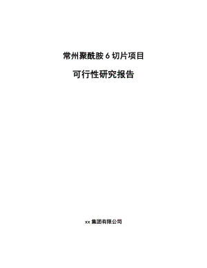 常州聚酰胺6切片项目可行性研究报告.docx