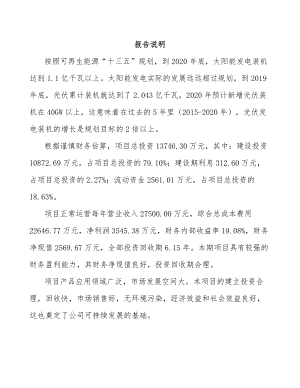 年产xxxGW多晶硅光伏组件项目策划方案.docx