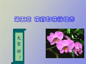 花药和花粉培养.ppt