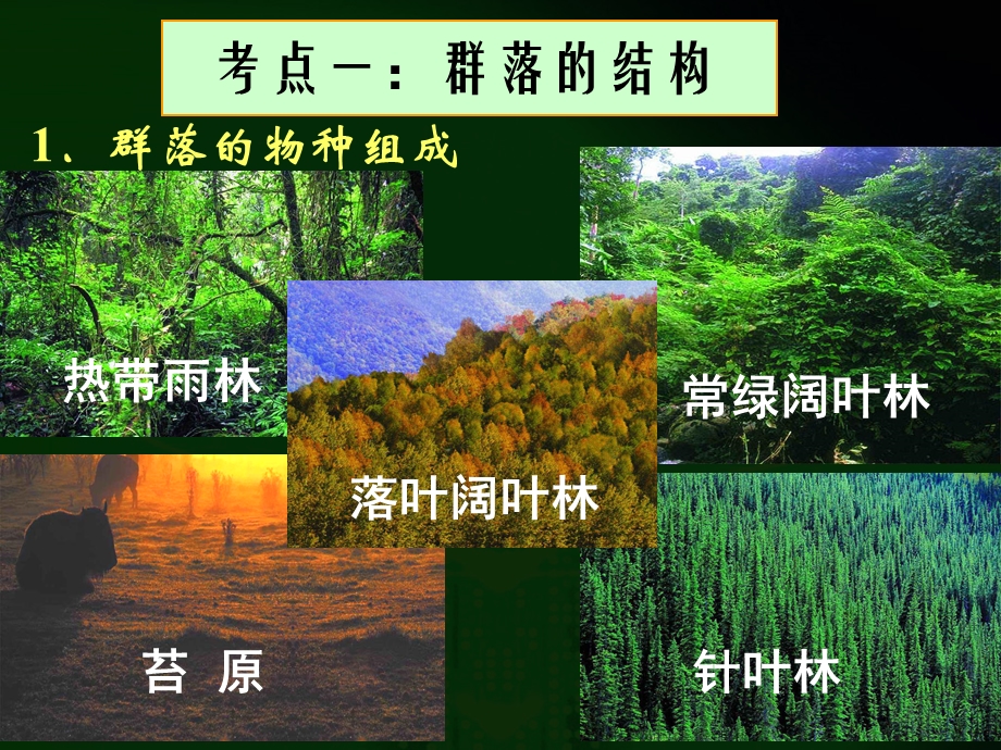 高三生物《群落的结构与演替》1(课件).ppt_第2页