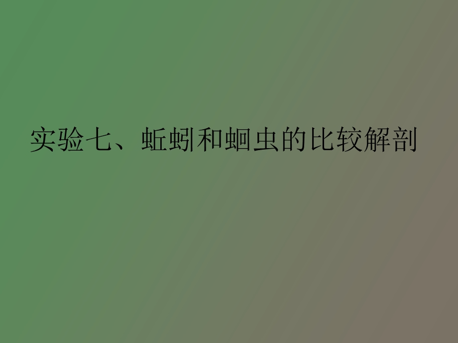 蛔虫和蚯蚓的比较学习.ppt_第1页