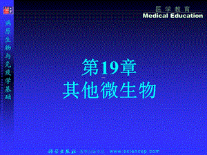 病原生物与免疫学-支原体、立克次体、衣原体、螺旋体.ppt