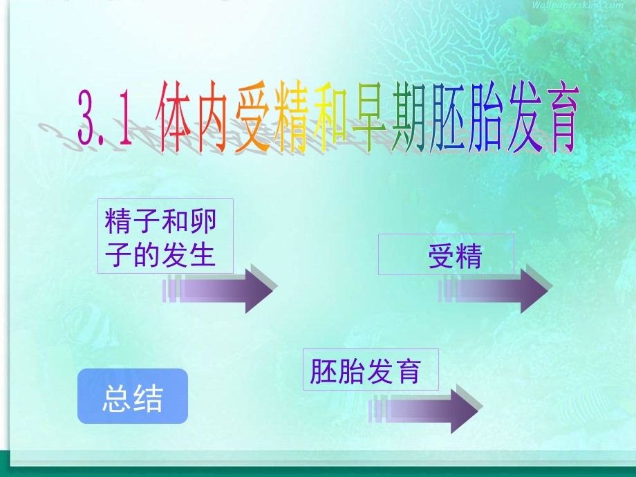 毕业答辩模板苏州大学文正学院.ppt_第3页