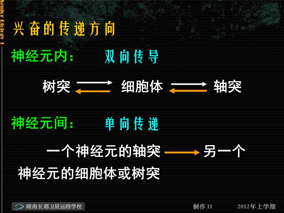 高一生物《第2章-第2节-通过激素的调节》(课件).ppt_第2页