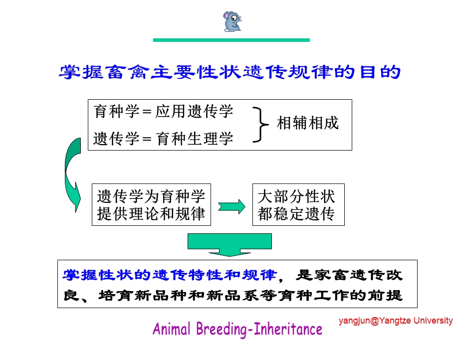 畜禽主要性状的遗传.ppt_第3页