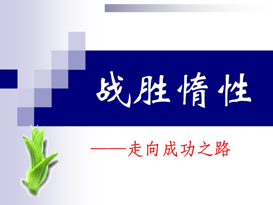 高三百日冲刺主题班会成功只需要100天.ppt_第3页