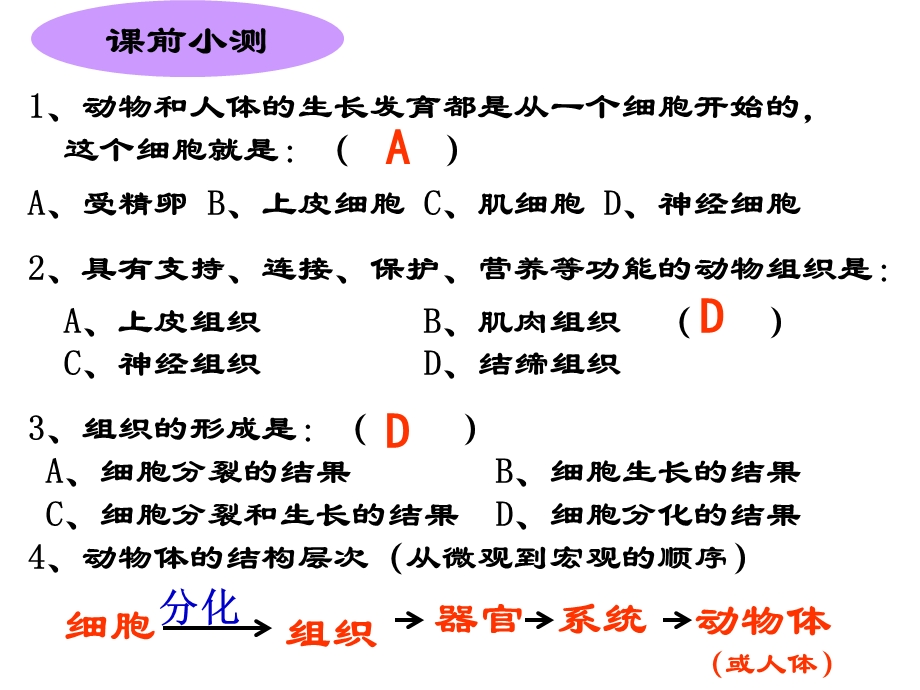 植物体的结构层次 .ppt_第1页