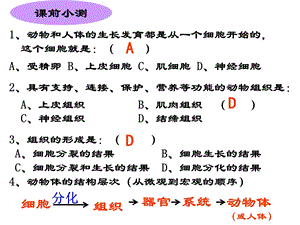 植物体的结构层次 .ppt