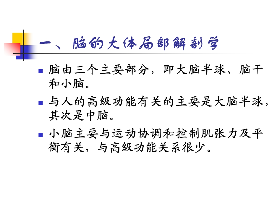 大脑的结构和功能.ppt_第2页