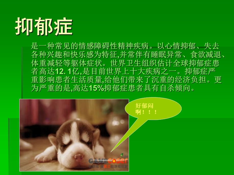 抗抑郁药的新药研发.ppt_第2页