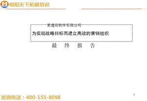 拓展训练：某咨询公司建立高效的营销组织.ppt