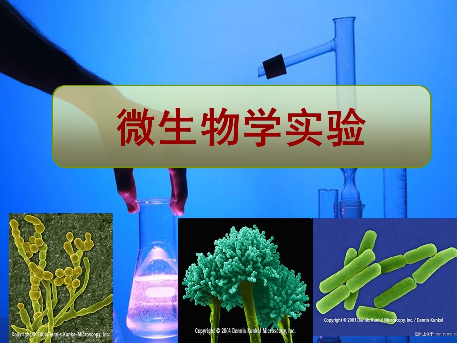 微生物实验实验一培养基的配制和灭菌法.ppt_第1页