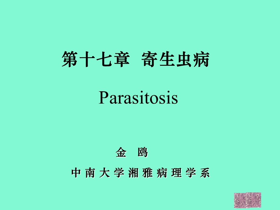 寄生虫病不考.ppt_第2页