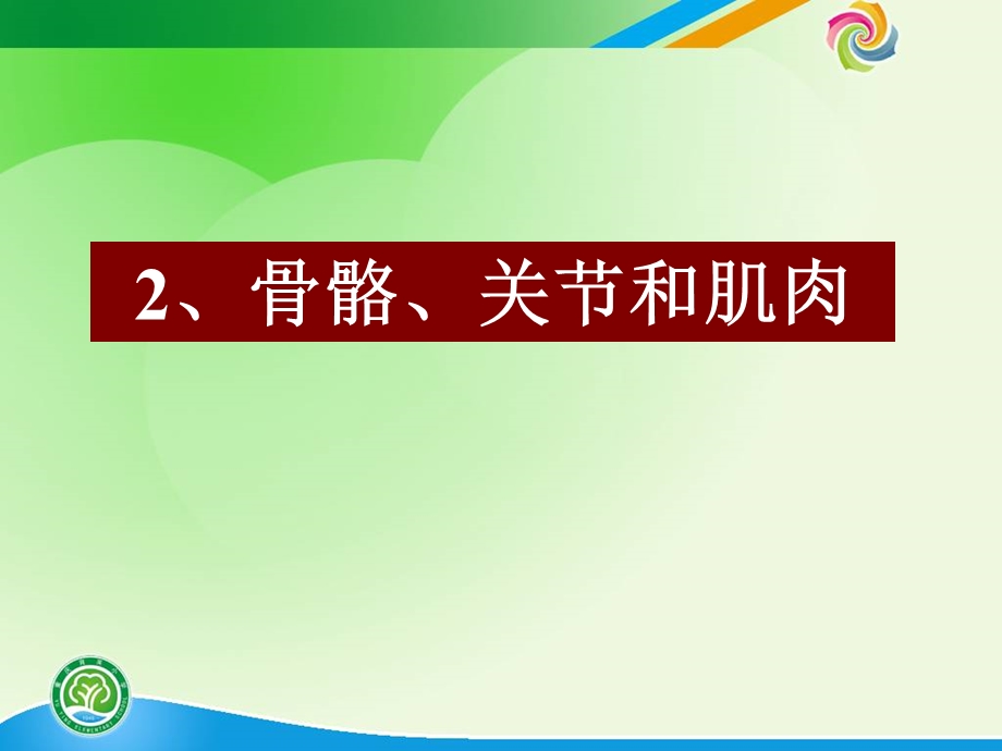 教科版科学四年级上册骨骼、关节和肌肉.ppt_第1页