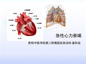 急性心力衰竭中西医临床危重病学.ppt