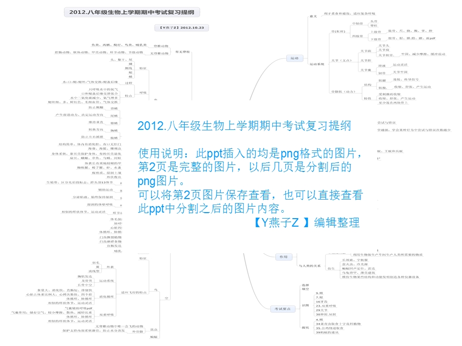 思维导图生物八年级上学期期中考试复习提纲.ppt_第1页