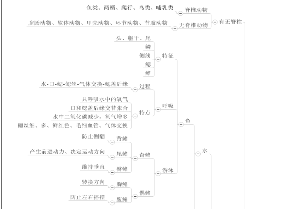 思维导图生物八年级上学期期中考试复习提纲.ppt_第3页