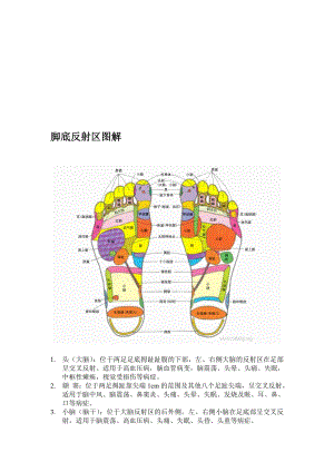 脚耳手部反射区图解.doc