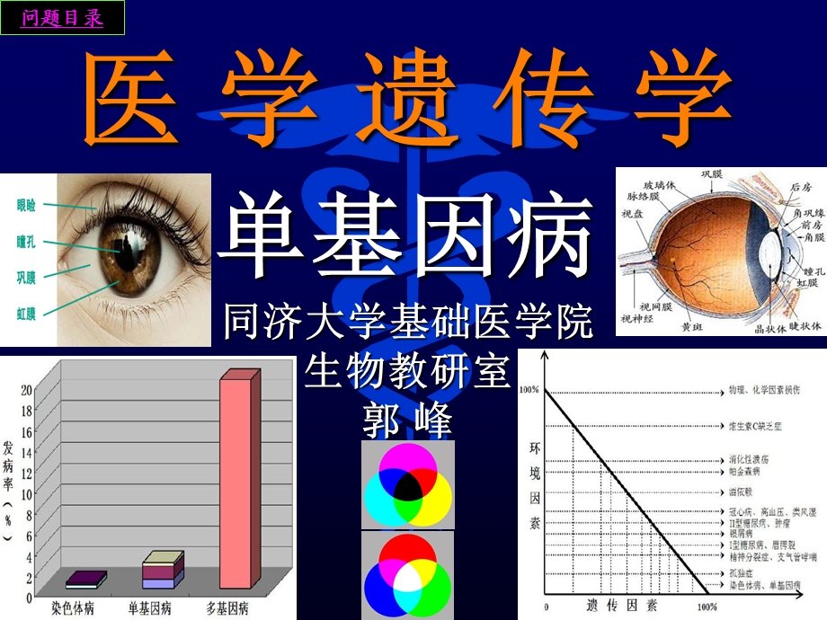 单基因病 ppt课件.ppt_第1页