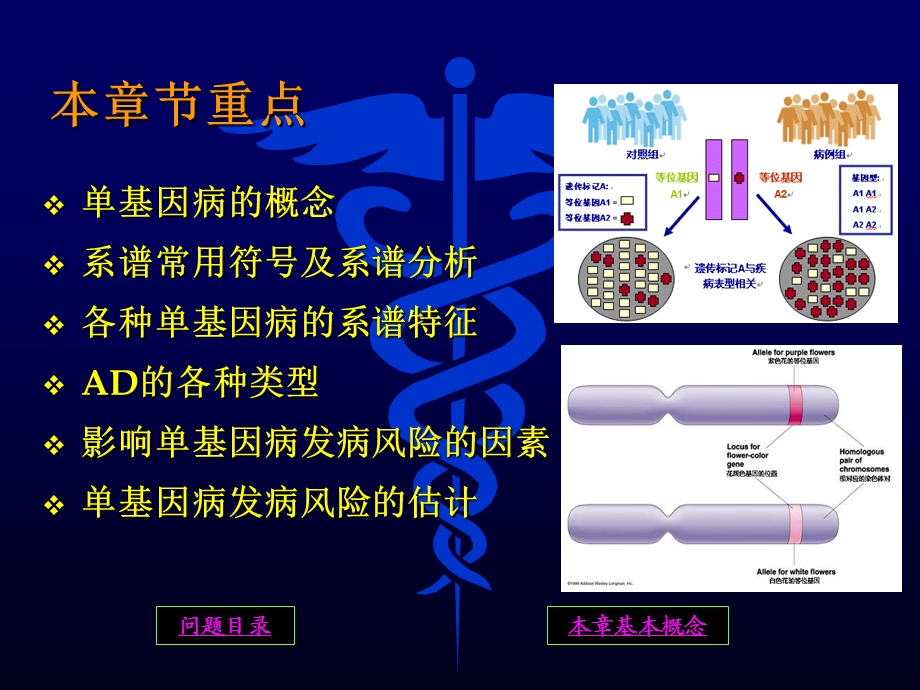 单基因病 ppt课件.ppt_第2页