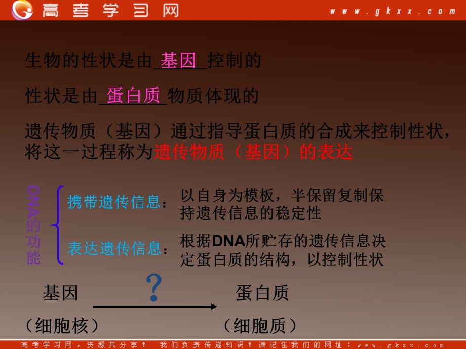 高一生物：第三章《第四节 遗传信息的表达-RNA和蛋白质的合成》课件26（浙教版必修2）.ppt_第2页