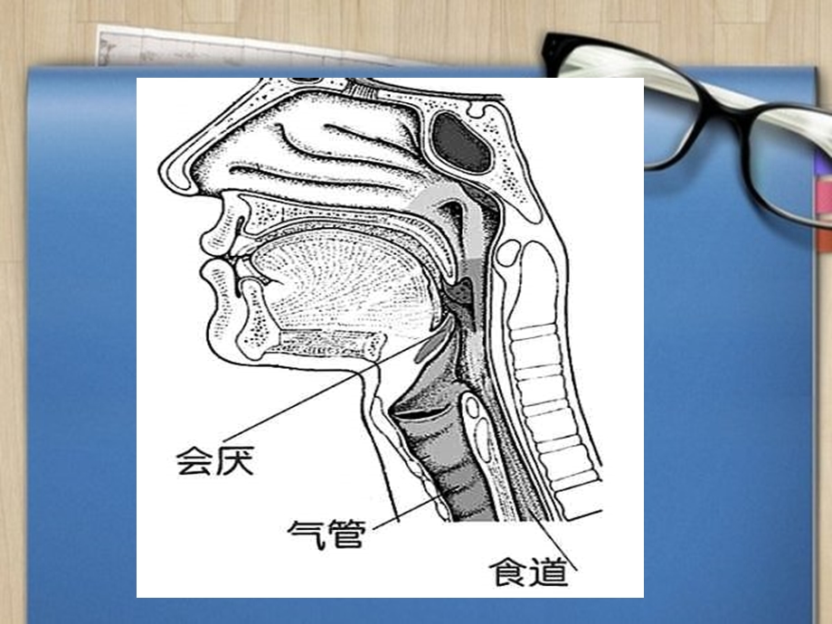 急性会厌炎护理查房.ppt_第2页