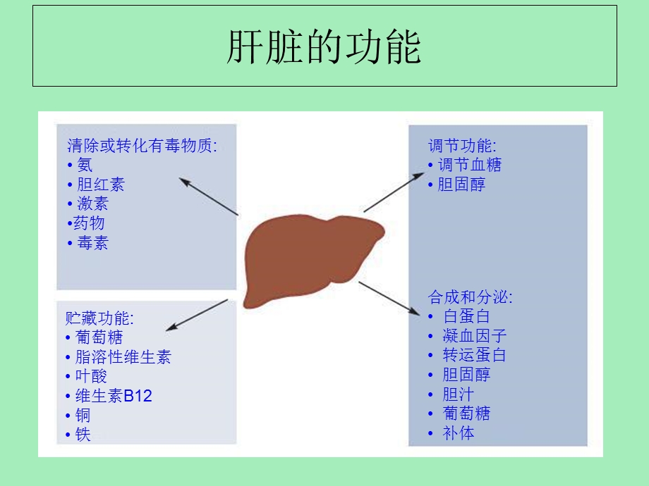 干扰素与肝病.ppt_第3页