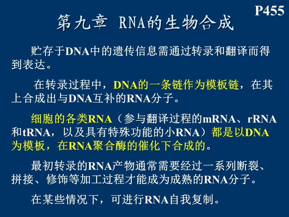 西北大学生物化学PPT RNA的生物合成-L.ppt_第1页