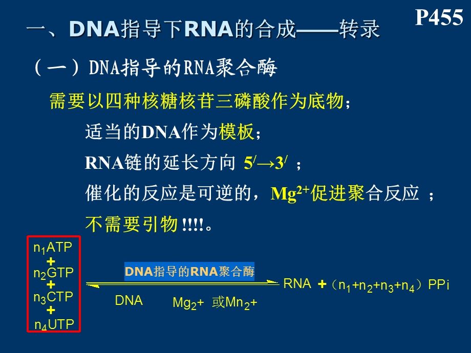 西北大学生物化学PPT RNA的生物合成-L.ppt_第2页