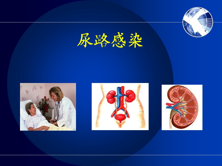 尿路感染第八版内科学.ppt_第1页