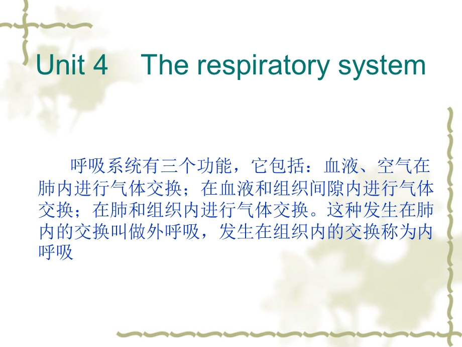 护理专业英语翻译.ppt_第3页