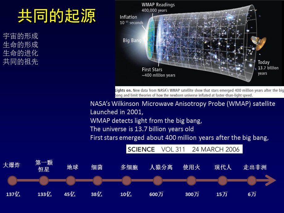 风湿病概要与类风湿关节炎amppt课件.ppt_第3页