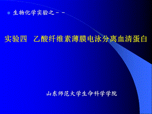 实验4乙酸纤维素薄膜电泳分离血清蛋白.ppt