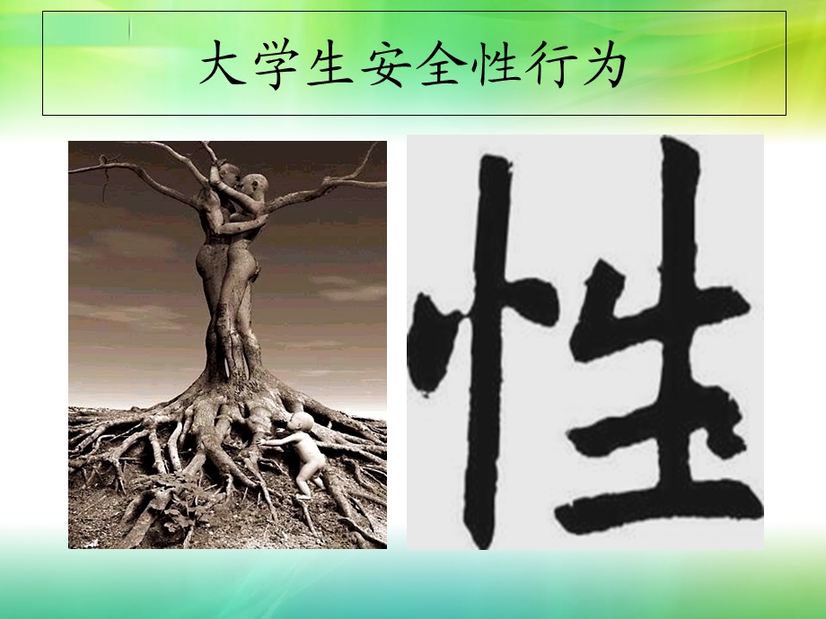 大学生性教育课件.ppt_第3页