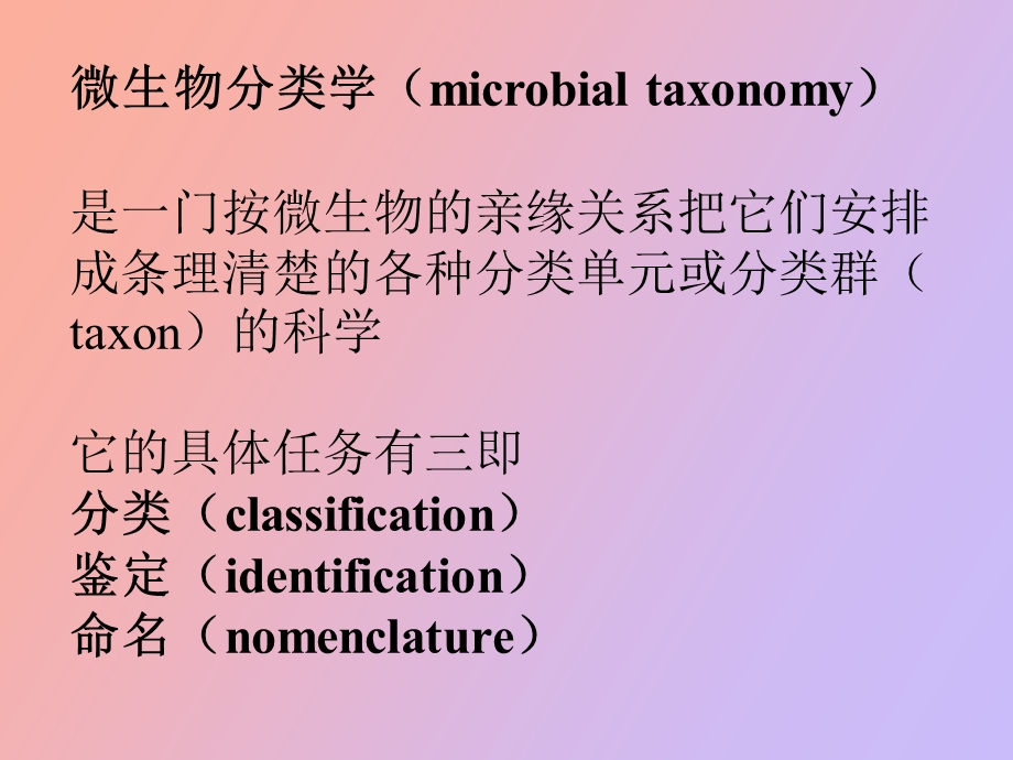 微生物的分类.ppt_第2页