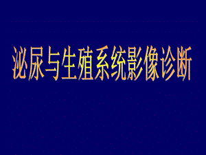 泌尿与生殖系统ppt课件.ppt