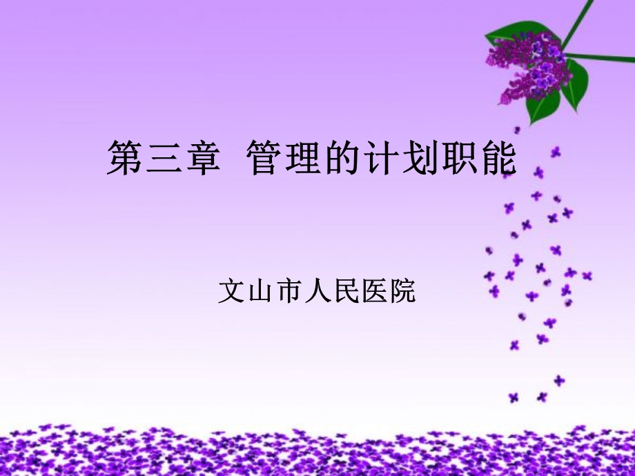 护理管理学计划职能.ppt_第1页