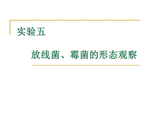 实验五放线菌、霉菌的形态观察.ppt