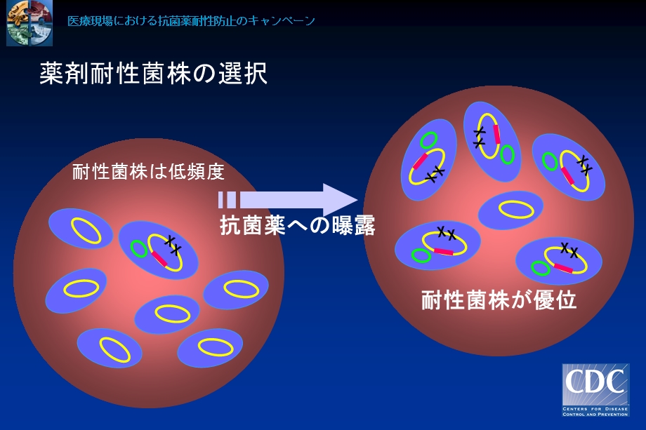 耐性菌防止のための 12ステップ （成人入院患者） - 大日本住友製薬 ....ppt_第2页