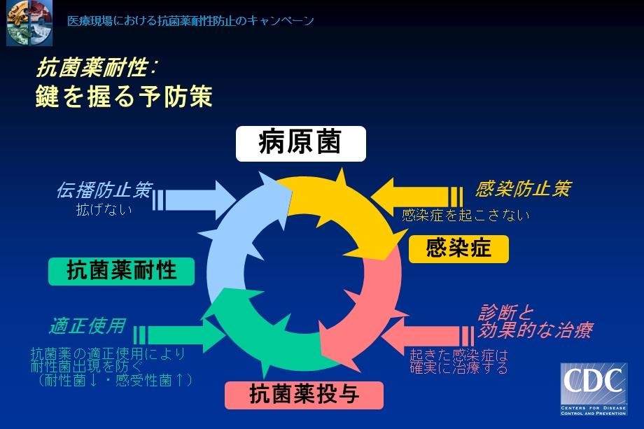 耐性菌防止のための 12ステップ （成人入院患者） - 大日本住友製薬 ....ppt_第3页