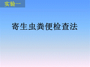 寄生虫粪便检查法.ppt