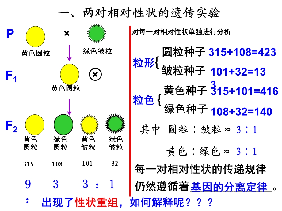 孟德尔定律之二自由组合定律.ppt_第2页