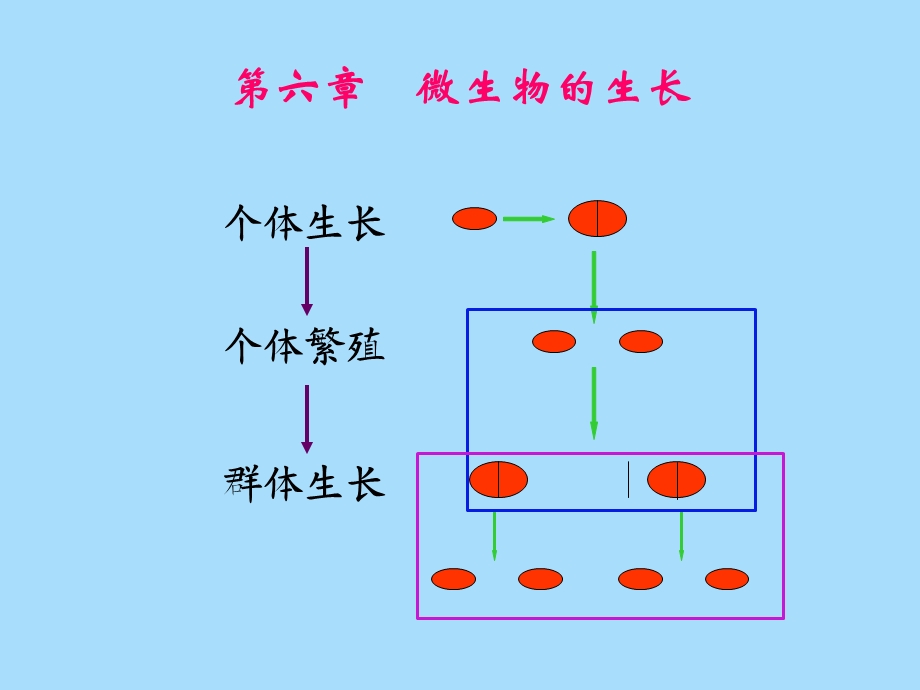 微生物的生长.ppt_第3页