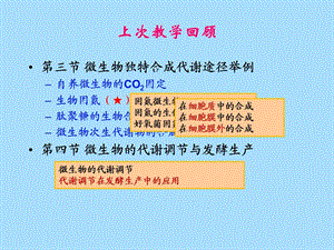 微生物的生长.ppt