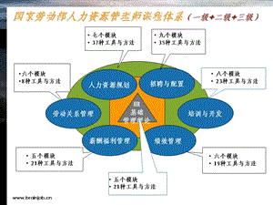 国家劳动部人力资源资格证青岛开发区培训报名指南.ppt