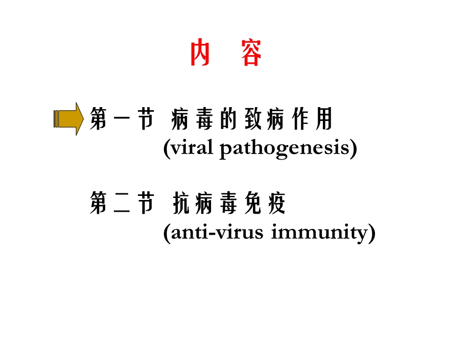 病毒感染与免疫ppt课件.ppt_第2页