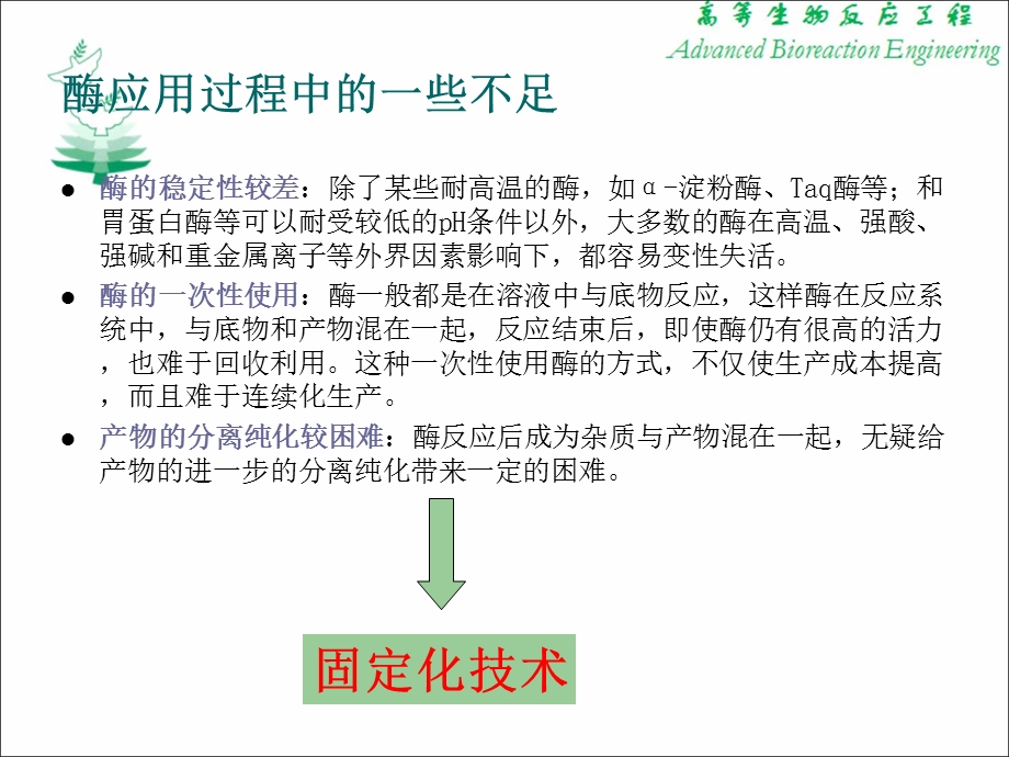 固定化酶及反应动力学.ppt_第3页