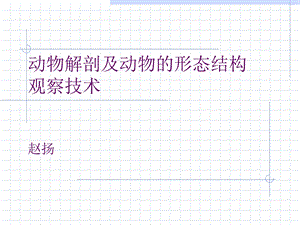 实验一动物解剖及动物的形态结构观察技术.ppt