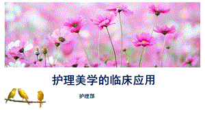 护理美学(内含解说).ppt