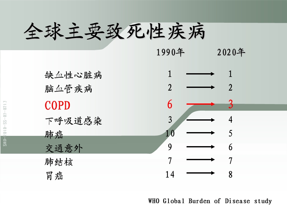 慢阻肺的诊断与评估.ppt_第2页